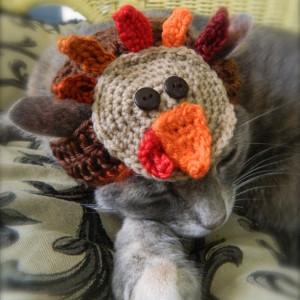 Thanksgiving Turkey Crocheted Hat for Your Cat or Small Dog - Custom Made Pet Costume  Ask a Question