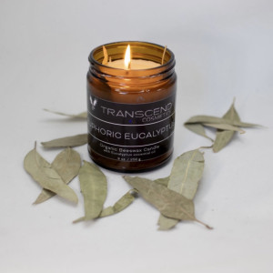 Euphoric Eucalyptus Handmade Beeswax Candle 9 oz / Transcend Cosmetics