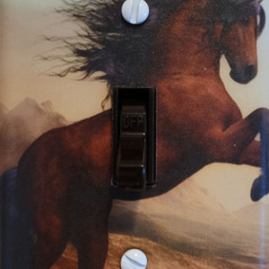 Horse Light Switch Cover