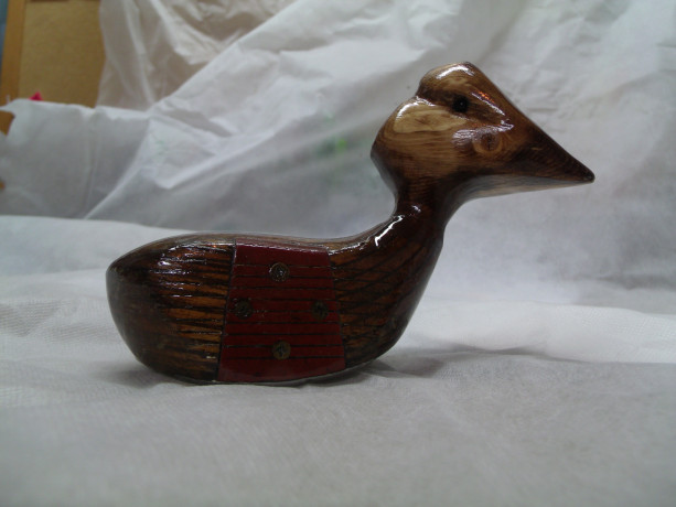 Wood Duck 4
