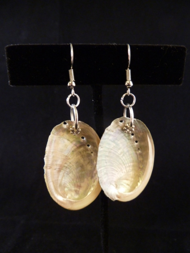 1" Abalone Shell Earrings