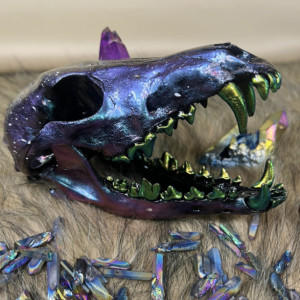 Purple Chrome Galaxy Coyote Skull