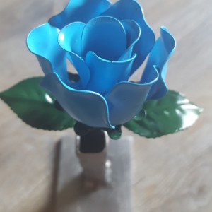 Baby Blue Steel Rose
