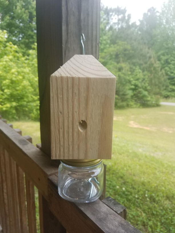 Carpenter/Wood Bee Trap