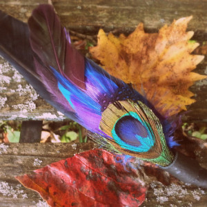 Smudge Fan, Small, Crow-Raven Black Feathers, Peacock Accent, Cruelty Free