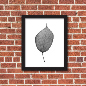 Leaf Photography, Nature Art, - "The Queen of the Forest"