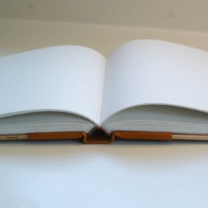 Hand-made book, bound in leather and wood.