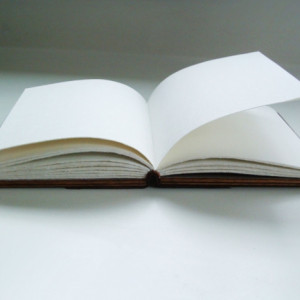Handmade book, bound in wood, with open stitching onto leather bands.