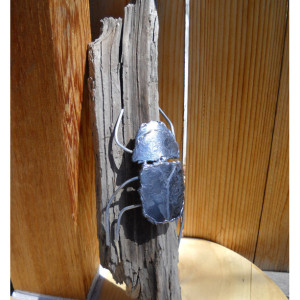 Metal Scarab on Wooden Log