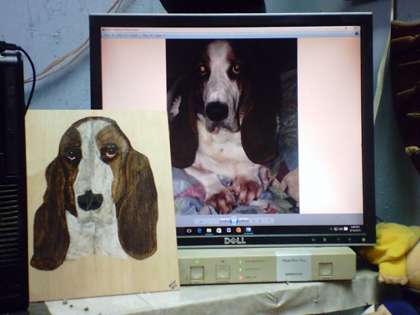 JERRY'S COLORED WOOD BURN PET IMAGES
