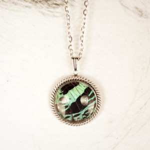 Real Butterfly Jewelry - Real Butterfly Wing Necklace - Green and Black - Real Insect Jewelry - Entomology - Gift for Her - Sunset Moth