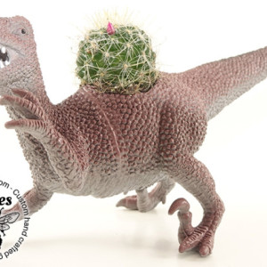 Velociraptor Dinosaur Cactus Pet Planter - Cacti, Succulent, Haworthia, Aloe, Air Plant - Raptor, Gift, Home, Office, Teen, Cubicle, Coworker, Kids