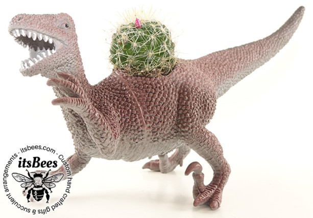 Velociraptor Dinosaur Cactus Pet Planter - Cacti, Succulent, Haworthia, Aloe, Air Plant - Raptor, Gift, Home, Office, Teen, Cubicle, Coworker, Kids