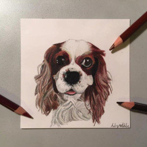 Mini Pet Portrait (4x4), Custom Pet Portrait, Small Pet Portrait, Custom Dog Portrait, Mini Dog Portrait, Small Dog Portrait