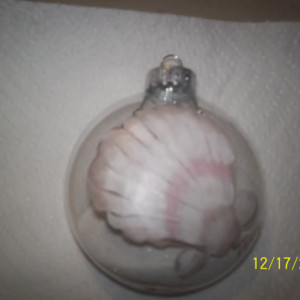 Sea Shell Ornament
