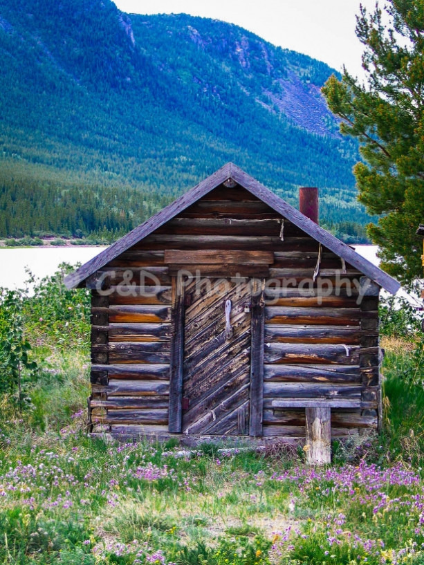 Alaskan Cabin