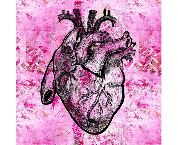 Corazon - Pink Anatomical Heart Print