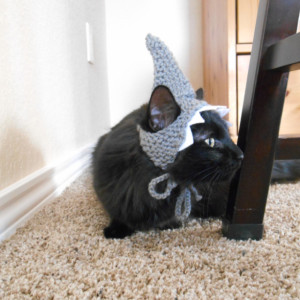 Cat Shark Hat Costume