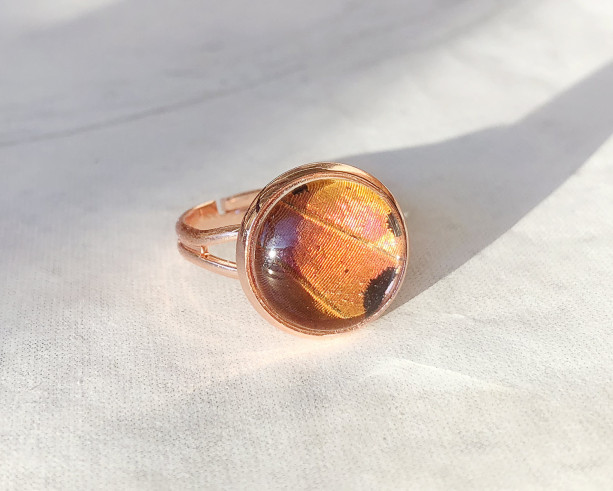 Real Butterfly Wing Ring - Real Butterfly Jewelry - Rose Gold Ring - Gift for Her - Orange Ring - Bohemian Jewelry - Nature Jewelry