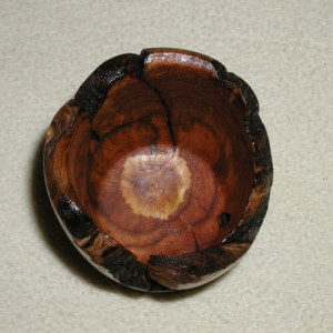 Pine Burl Bowl