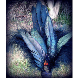 Smudge Fan-Black Crow-Raven Feather Medicine-Storytelling Fan, Cruelty-Free