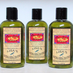 Natural Raw Hemp Shampoo, Liquid Shampoo, Vegan Shampoo w Pro Vitamin B Horsetail Extract Silk Neem Oil Rosemary Energy Fragrance