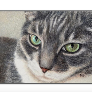 NOTE CARD SET - Gray Cat! | 6 Cards and 6 Envelopes | Cards are Blank Inside 