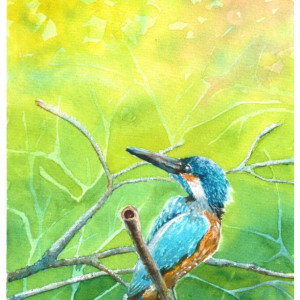 Kingfisher Watercolor Print from original, 5x7