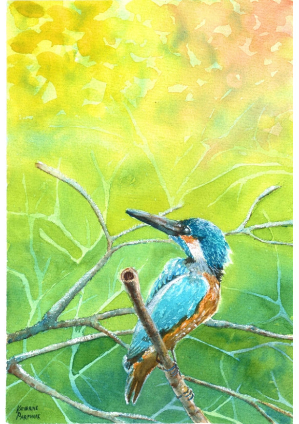Kingfisher Watercolor Print from original, 5x7
