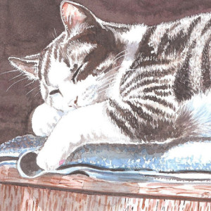 CAT ART PRINT -  9X12  inches  - Gray Tabby Cat Napping - 