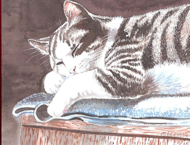 CAT ART PRINT -  9X12  inches  - Gray Tabby Cat Napping - 
