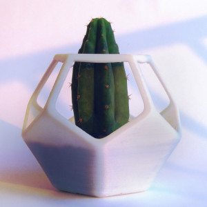 3D Printed Dodecahedron Planter, Geometric Terrarium , Cactus Planter, Cactus Flower Guard, Geodesic Container, Math Art, Polyhedra