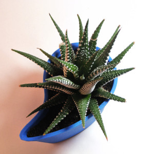 3D Printed Planter, Rain Drop Flower Pot, Geometric Succulent Planter, Tear Drop Pot