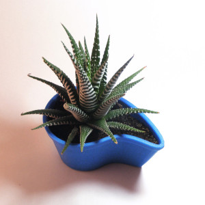 3D Printed Planter, Rain Drop Flower Pot, Geometric Succulent Planter, Tear Drop Pot