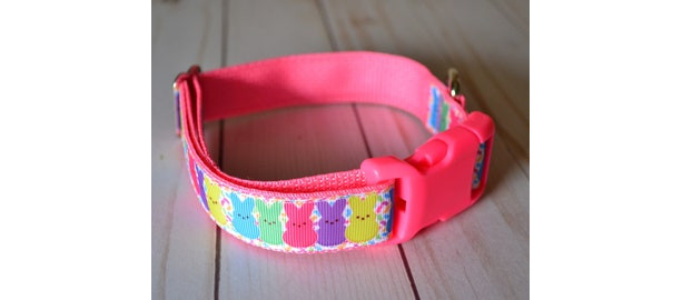 Easter Bunny Dog Collar