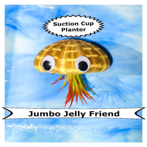 Jumbo Jellyfish air plant, Air plant, air planter, air plant holder, shell planter, Air plants, indoor plants, plant lovers gift