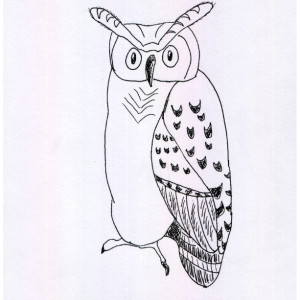 Owl Black and White Original Art Illustration Drawing Ink Nature Bird Decor 7.5 x 10.5 Nature Lover Bird Watcher Woodland Animals Wildlife