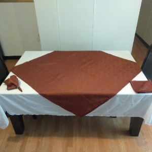 Table cloth overlay plus napkins