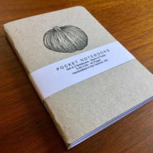 Pumpkin Notebooks 2 pack 3.5in x 5in Pocket Notebook handcrafted journal diary sketchbook gift set handmade kraft Premium Notebook no logos