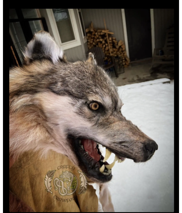 Premium Wolf Headdress Detailed Jawset