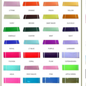 Princess Tutu Size 0-6 months, 6-12 months,12-24 months, 2T-4T,4-5, 6-6X/ Your choose your color.