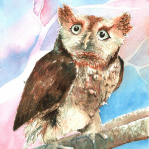 Nippers the Owl Watercolor Print from Original, 5x7