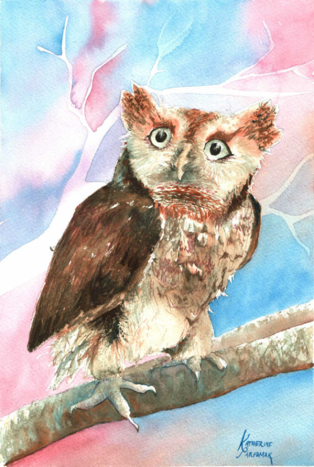 Nippers the Owl Watercolor Print from Original, 8x10