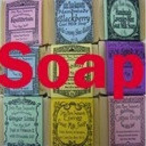 Vibrant Goat Milk Soaps - Lemongrass soap, Tea Tree soap,  Mint soap,Sea Kelp soap,exfolliating soap,scrubby soap,shaviing soap,natural soap