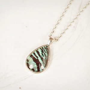 Real Butterfly Jewelry - Real Butterfly Wing Necklace - Green and Black - Real Insect Jewelry - Gift for Her - Tear Drop Pendant