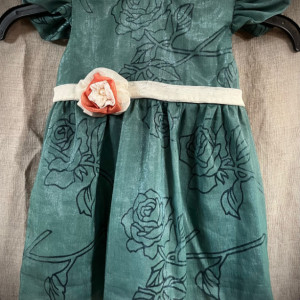 Shimmer Green Organza / Cream Sash Party Dress - 12m