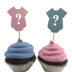 Pink & Blue Question Mark Gender Reveal Cupcake Toppers - Set of 12
