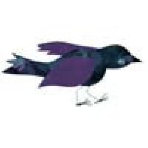 purple and blue fabric song bird