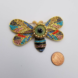 Multi colored Butterfly Wink 