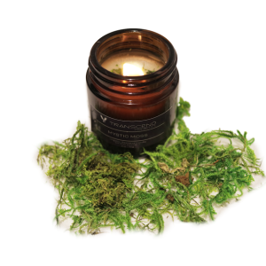 Mystic Moss Handmade Beeswax Candle 4 oz / Transcend Cosmetics